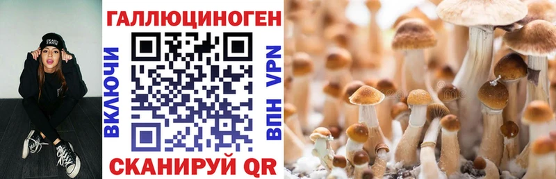 OMG ONION  Каргополь  Псилоцибиновые грибы мухоморы 